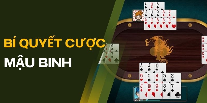 Game Mậu Binh: Luật Chơi, Chiến Lược và Mẹo Chiến Thắng 4 Bí quyết chọn cược Mậu Binh cho tân thủ